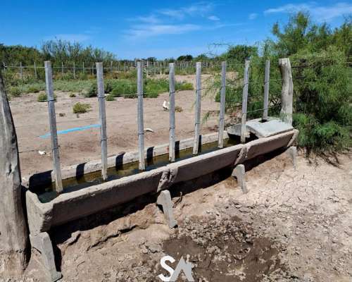Vende: Campo de 12.342 Hectáreas, Limay Mahuida, la Pampa