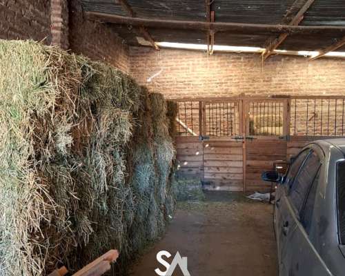 Se Vende Campo Ganadero de 415 en General Acha, la Pampa