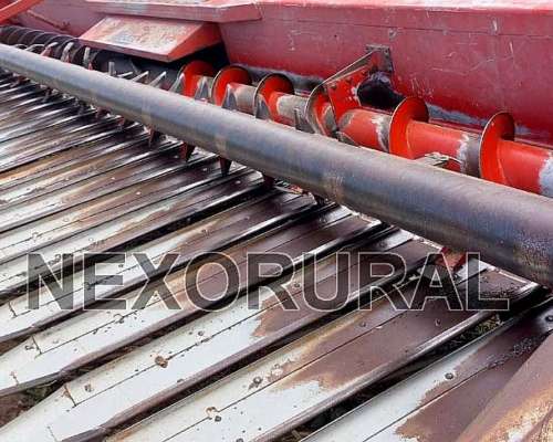 Girasolero Maizco Gxiii, 2018. 14/70, 19/52. Embocador JD