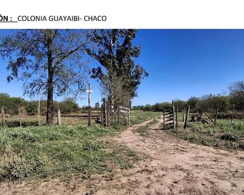 Venta Campo 120 KM. de Rcia. Chaco