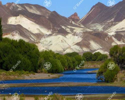 Campo en Venta 9000 Has en Esquel, Chubut. Ganadero.