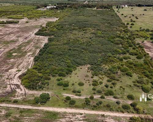Venta Campo de 53 Has. Lindera a Zona SUB Urbana de Tostado