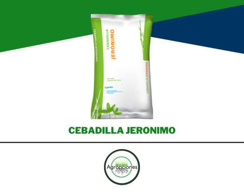 Semilla de Cebadilla Jeronimo - Gentos