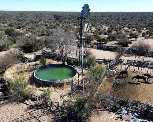 Campo Ganadero de Recría en Venta - Lavalle , Mendoza