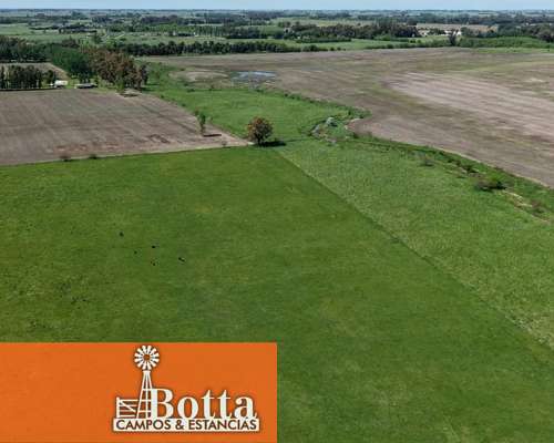 Chacra en Venta – 16 Has – Mercedes, Buenos Aires