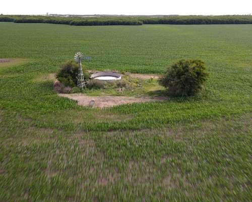 525 Hectáreas Agrícolas Sobre Ruta, San Marcial.