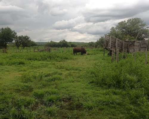Vendo Estancia a Tranquera Cerrada