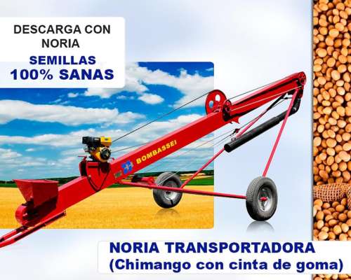 Noria Transportadora ( Chimango ) con Cinta de Goma