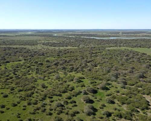 1000 Hectáreas Ganaderas Sobre Ruta, Gualeguaychú.
