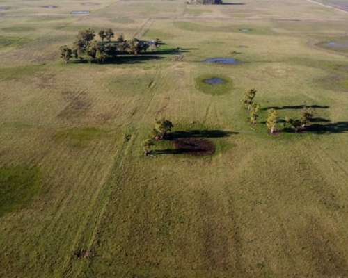 Campo de 104 , Mixto con Casa Ymejoras