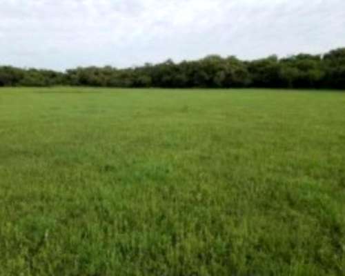 Campo Estancia de 10500 Hectáreas