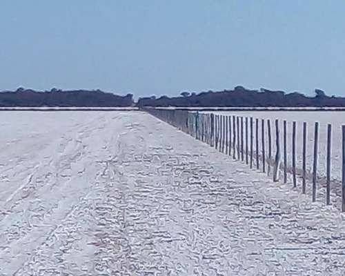 Campo de Litio en Catamarca