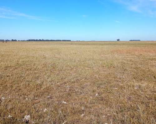 Campo Mixto 70% Agricola 29% Ganadero