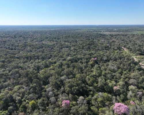 Alto Alegre, Patiño, Formosa - 46.106 Ha