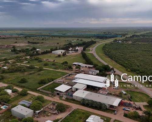 Venta Campo de 53 Has. Lindera a Zona SUB Urbana de Tostado