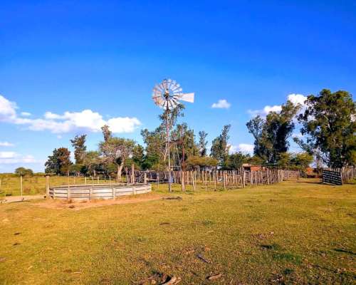 105 Hectáreas Ganadera en Colonia la Nueva