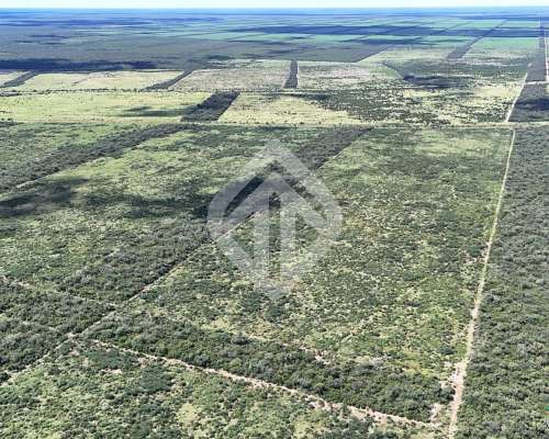 En Venta 6600 Hectáreas Mixtas en la Estrella - Salta
