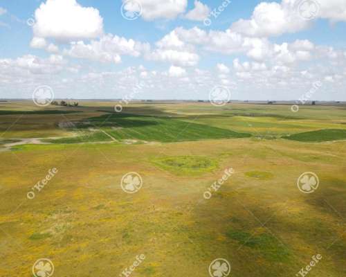 Campo en Venta de 300 Has en Pila