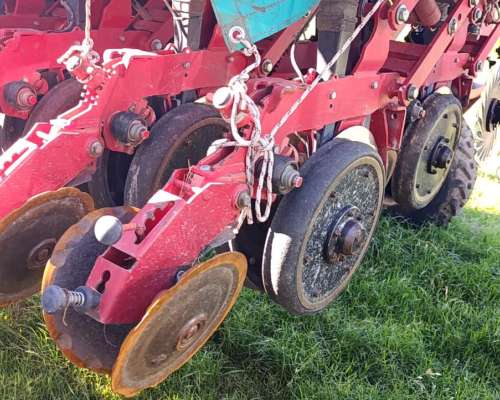 S. G. Fino Crucianelli Pionera 41 a 21 año 2021 con Alfalfer