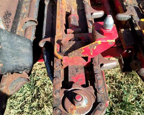 Maicero Mainero 2000 11 a 52 cm