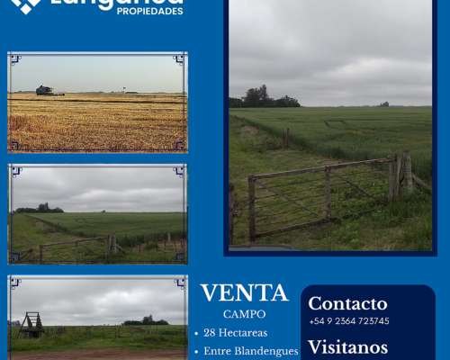 28 Ha Junín - Blandengues - Bermúdez