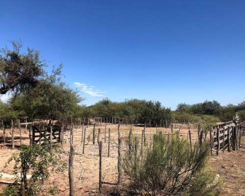 Campo Venta San Luis Ganadero