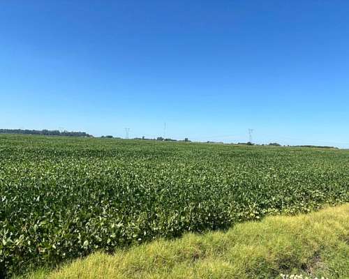120 Has 100 % Agrícolas sin Desperdicios