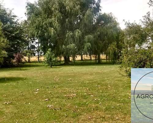 En Venta muy Buen Campito Ganadero