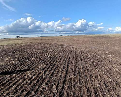 Venta 380 Has Bolivar