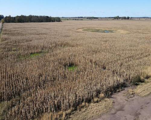 Campo en Venta de 178 Has en las Heras. Agricola