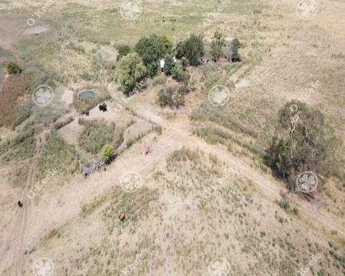 Campo en Venta 168 Has en Lobos . muy Buen Acceso