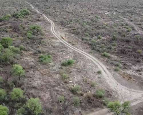 Campo las Palomas-san Luis
