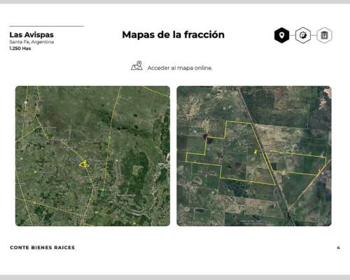 Campo en Huanqueros (las Avispas)