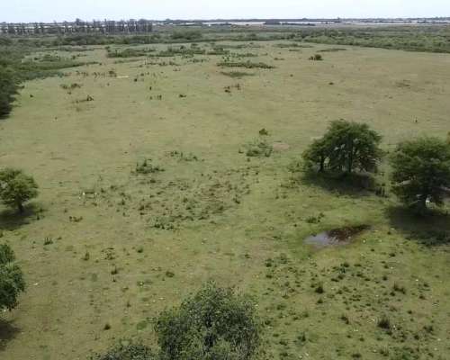 Venta Campo Ganadero Pilar Santa FE