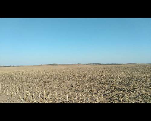 Compro Campo Agrícola o Mixto