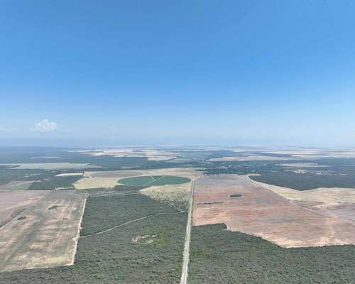 Pcia. de Catamarca - Bañado de Ovanta 437 Has