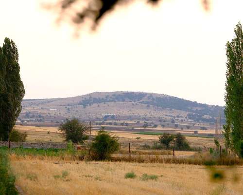 Venta Campo en Pergamino - 400 Ha