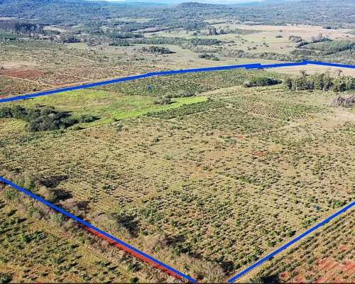 Se Vende Chacra de 48 Ha en Apostoles Misiones. 28 Ha con YE