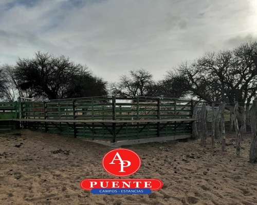 En Venta 3100 HA. Victorica, la Pampa