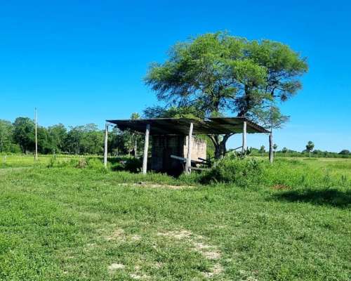 Campo Ganadero 1470 Has Pcia de la Plaza Chaco