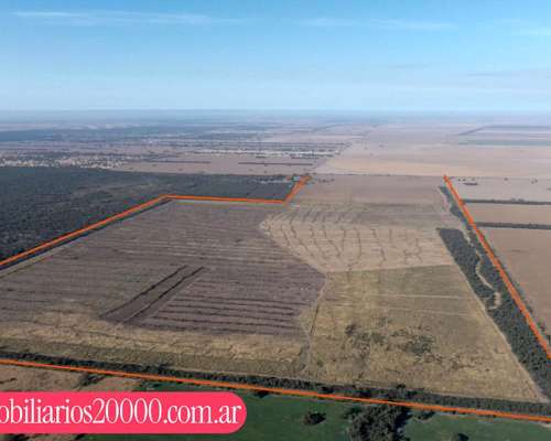 Córdoba Gutemberg al SUR 310 Has Agrícolas Campo Nuevo