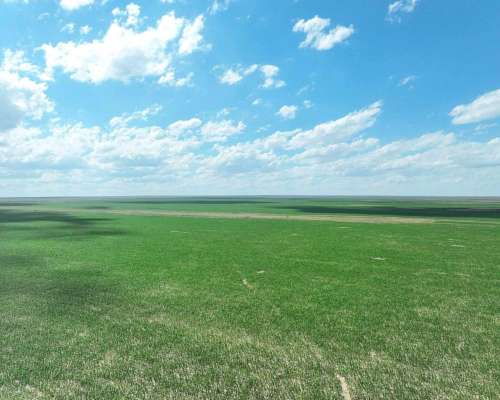 Pcia. de San Luis - Nahuel Mapa 3458 Ha