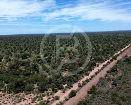 Campo Ganadero- 3.000 Ha en Chuña, Córdoba