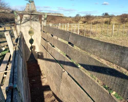 1.140 Ha Excelente Campo de Monte en San German, Puan
