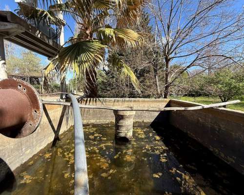 Venta de Finca en Agrelo, Lujan de Cuyo - Mendoza