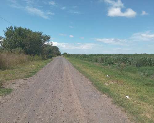 6 Has. Villa Constitución Santa FE, LUZ y Gas.