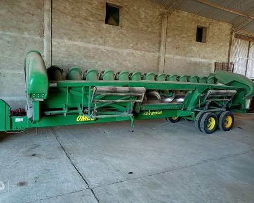 Cabeza Maicero Ombu 14/52 año 2015