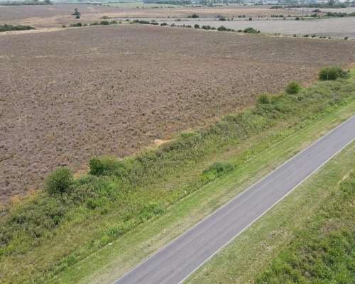 115 Hectáreas Agrícolas Sobre Ruta, Caseros Entre Ríos.