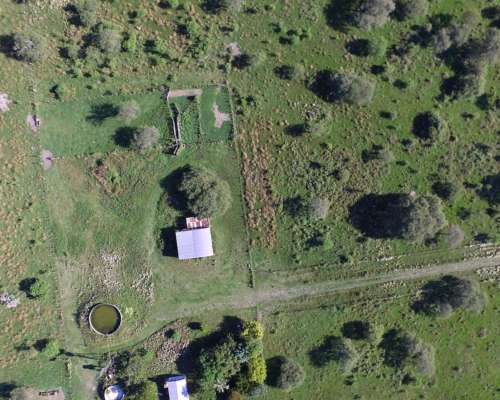 Campo Ganadero en Venta - 118 Has- Bovril, Dpto la PAZ
