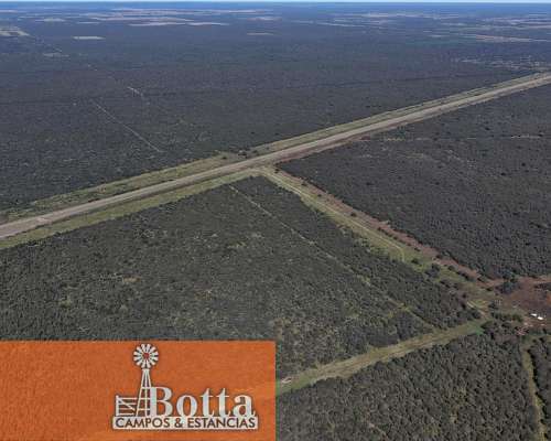 Establecimiento Ganadero de 1475 Hectáreas, Arizona,san Luis